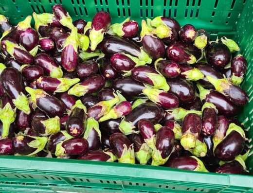 Supermarkt wissam - Market - Gorinchem - image 3